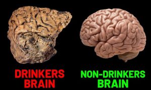 اثر مواد مخدر و مشروبات الکلی بر مغز و سیستم عصبی